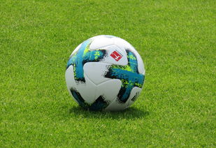 开云体育-拜仁绝杀莱比锡，哈兰德乌龙送礼足总杯